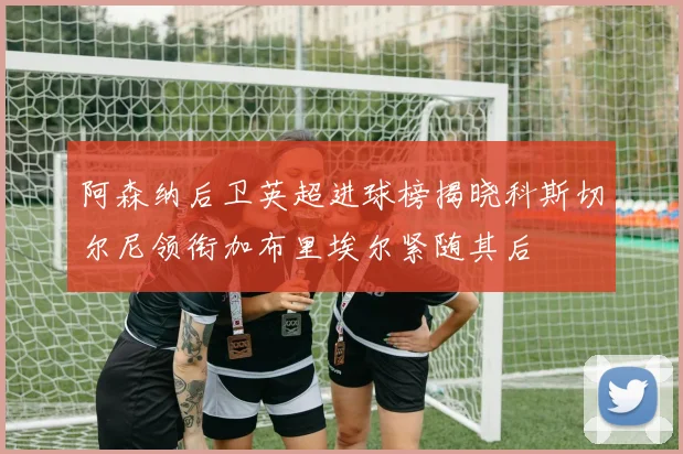 阿森纳后卫英超进球榜揭晓科斯切尔尼领衔加布里埃尔紧随其后