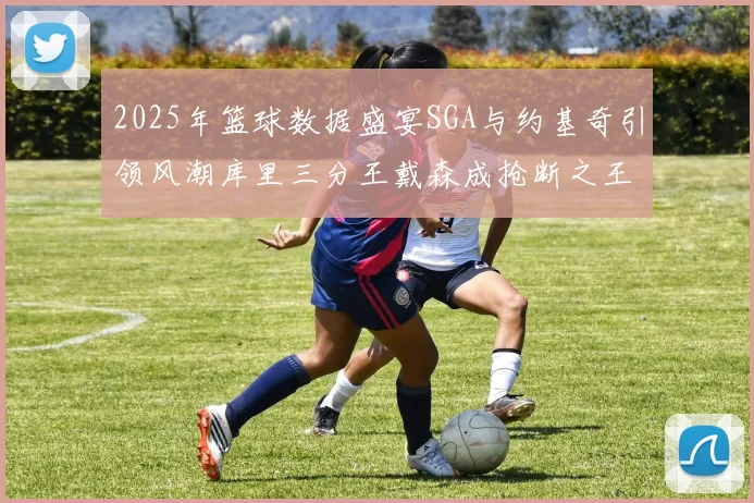 2025年篮球数据盛宴SGA与约基奇引领风潮库里三分王戴森成抢断之王